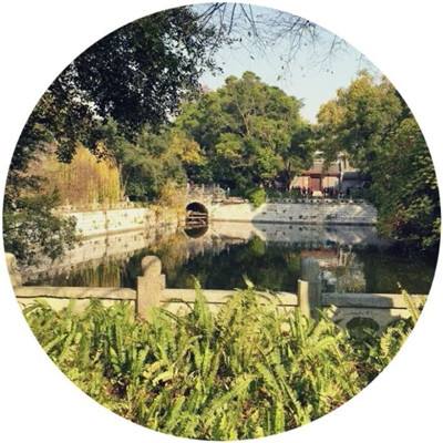 魔宠冒险记游戏下载